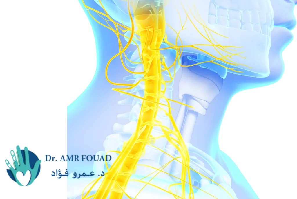 تكلفة عملية الضفيرة العضدية في مصر 1