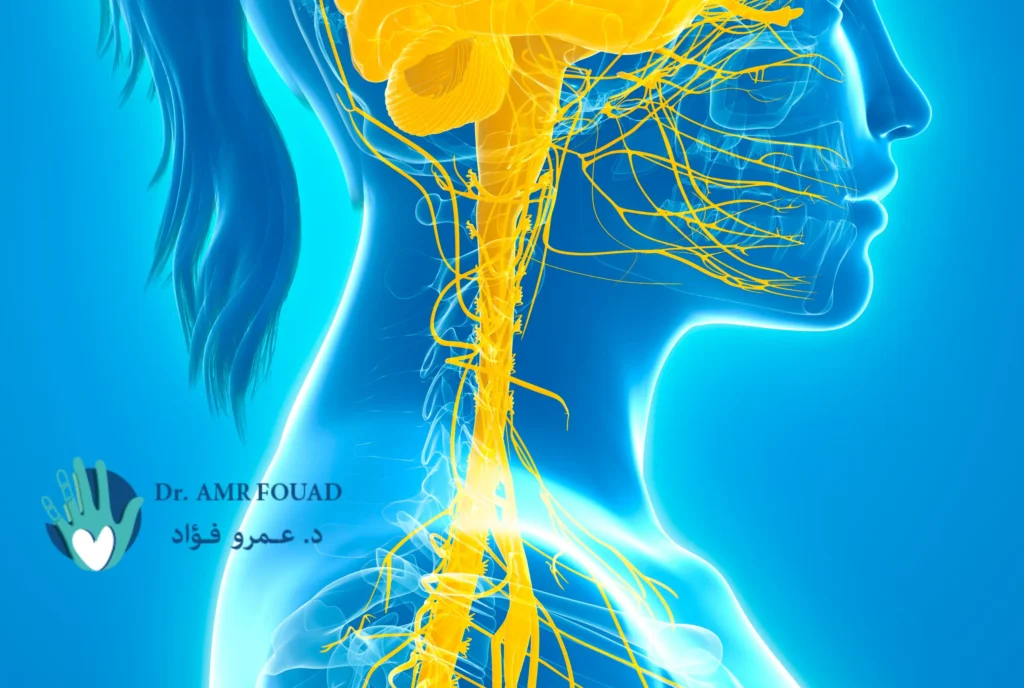 دكتور متخصص في قطع الضفيرة العصبية