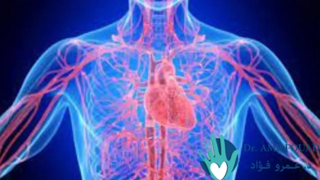 اعراض اضطراب الضفيرة العصبية للقلب ومشاكلها الصحية و العلاج 1 الضفيرة العصبية للقلب 2